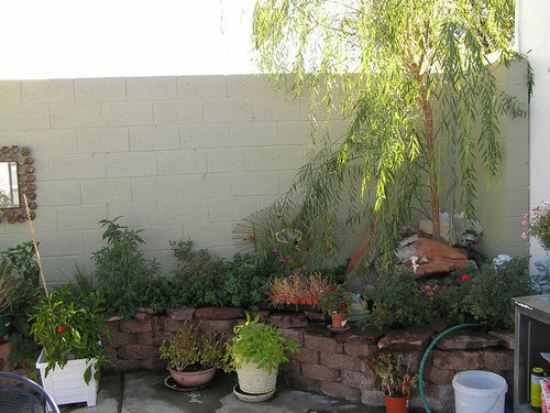 Hiway House Motel Albuquerque Dış mekan fotoğraf